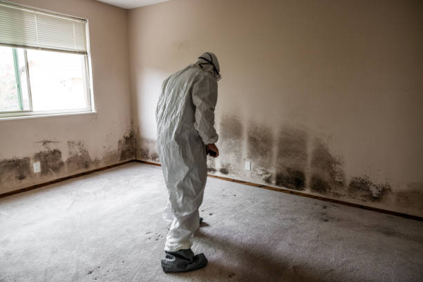 Best Mold Testing and Inspection Services in Penryn, CA